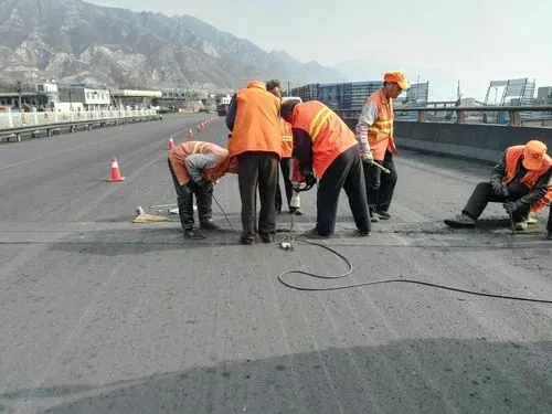 蓝田道路桥梁病害治理